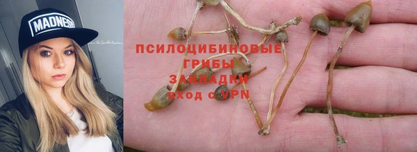 спайс Осинники