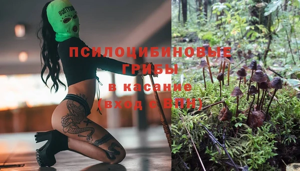 спайс Осинники