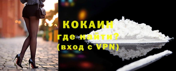 PSILOCYBIN Пересвет