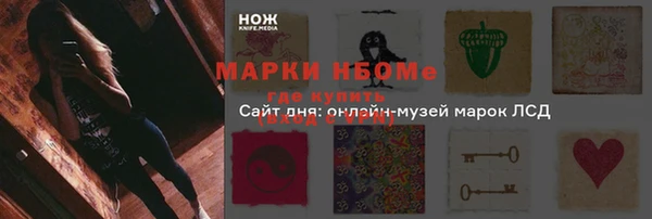 PSILOCYBIN Пересвет