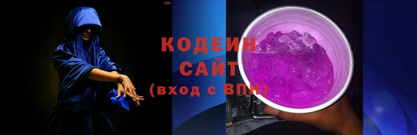 индика Осташков