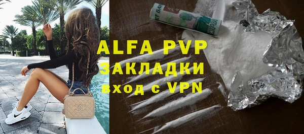 индика Осташков
