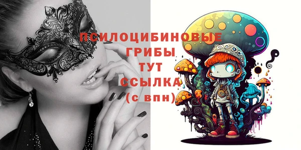 индика Осташков