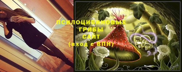 mdpv Остров