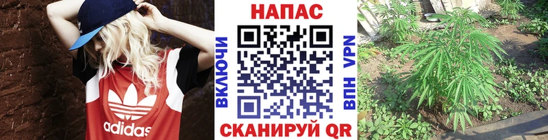 наркошоп  ОМГ ОМГ вход  Бошки марихуана MAZAR  Питкяранта 